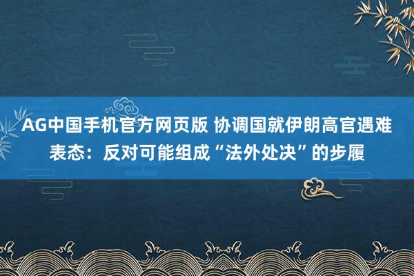 AG中国手机官方网页版 协调国就伊朗高官遇难表态：反对可能组成“法外处决”的步履