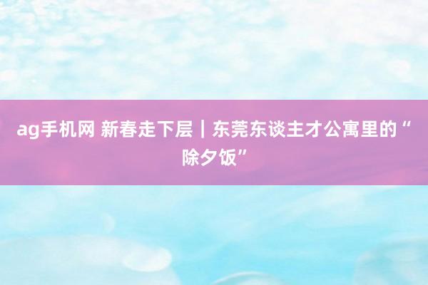ag手机网 新春走下层｜东莞东谈主才公寓里的“除夕饭”