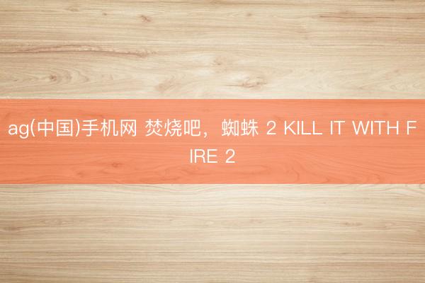 ag(中国)手机网 焚烧吧，蜘蛛 2 KILL IT WITH FIRE 2