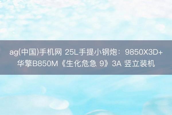ag(中国)手机网 25L手提小钢炮：9850X3D+华擎B850M《生化危急 9》3A 竖立装机