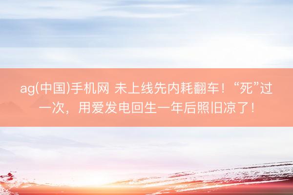 ag(中国)手机网 未上线先内耗翻车!“死”过一次,用爱发电回生一年后照旧凉了!