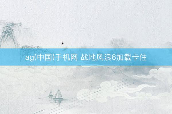 ag(中国)手机网 战地风浪6加载卡住