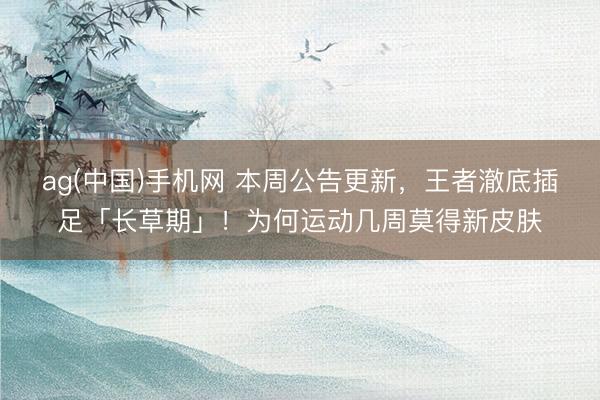 ag(中国)手机网 本周公告更新,王者澈底插足「长草期」!为何运动几周莫得新皮肤