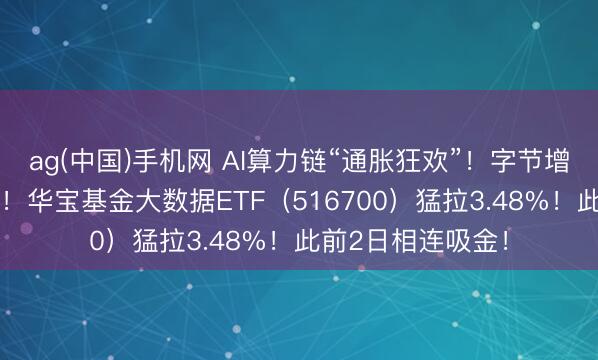 ag(中国)手机网 AI算力链“通胀狂欢”!字节增多25%成本开支!华宝基金大数据ETF(516700)猛拉3.48%!此前2日相连吸金!
