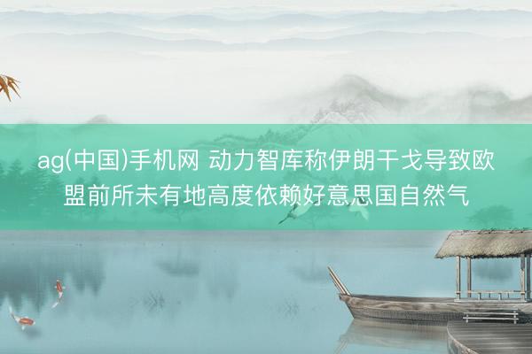 ag(中国)手机网 动力智库称伊朗干戈导致欧盟前所未有地高度依赖好意思国自然气
