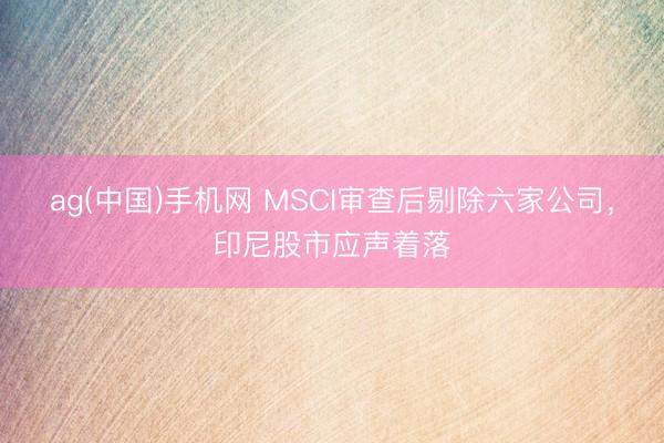 ag(中国)手机网 MSCI审查后剔除六家公司，印尼股市应声着落