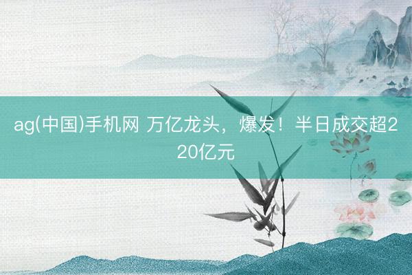 ag(中国)手机网 万亿龙头,爆发!半日成交超220亿元