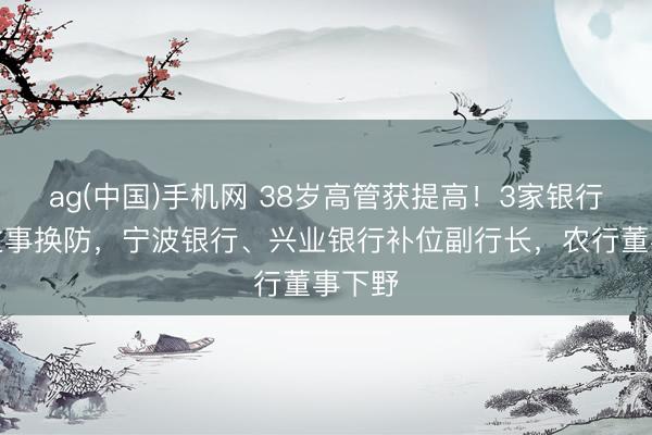 ag(中国)手机网 38岁高管获提高！3家银行东谈主事换防，宁波银行、兴业银行补位副行长，农行董事下野
