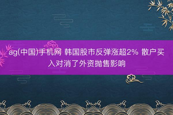 ag(中国)手机网 韩国股市反弹涨超2% 散户买入对消了外资抛售影响