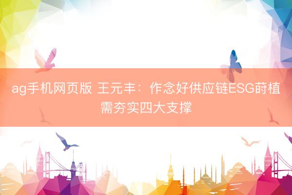ag手机网页版 王元丰:作念好供应链ESG莳植需夯实四大支撑