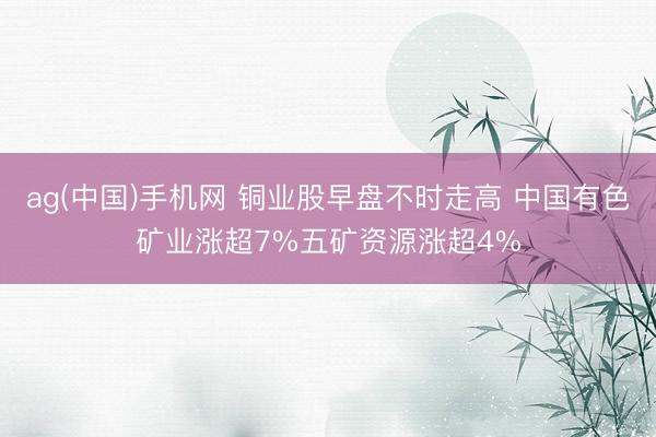 ag(中国)手机网 铜业股早盘不时走高 中国有色矿业涨超7%五矿资源涨超4%