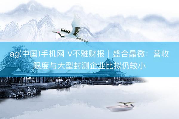 ag(中国)手机网 V不雅财报｜盛合晶微：营收限度与大型封测企业比拟仍较小