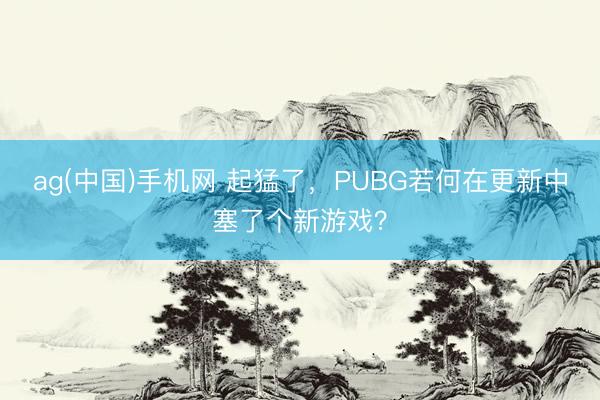 ag(中国)手机网 起猛了，PUBG若何在更新中塞了个新游戏？