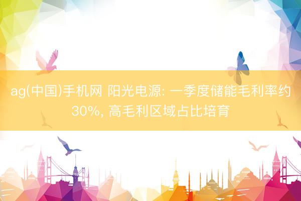 ag(中国)手机网 阳光电源: 一季度储能毛利率约30%， 高毛利区域占比培育
