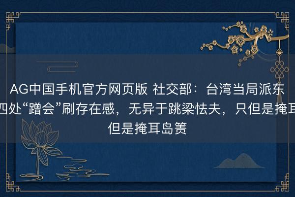 AG中国手机官方网页版 社交部：台湾当局派东谈主四处“蹭会”刷存在感，无异于跳梁怯夫，只但是掩耳岛箦