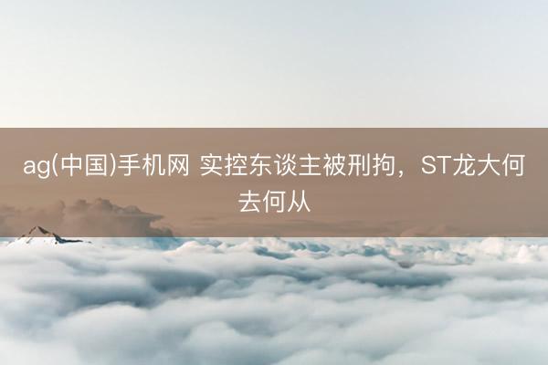 ag(中国)手机网 实控东谈主被刑拘，ST龙大何去何从