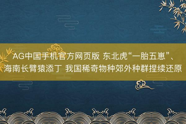 AG中国手机官方网页版 东北虎“一胎五崽”、海南长臂猿添丁 我国稀奇物种郊外种群捏续还原