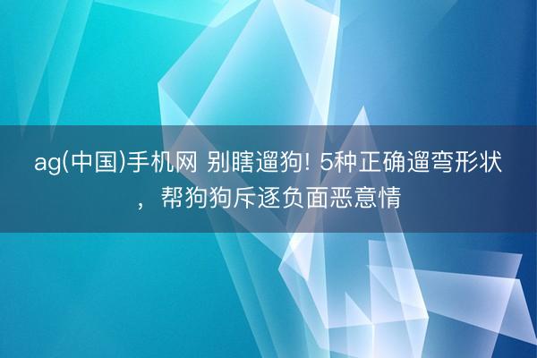 ag(中国)手机网 别瞎遛狗! 5种正确遛弯形状，帮狗狗斥逐负面恶意情