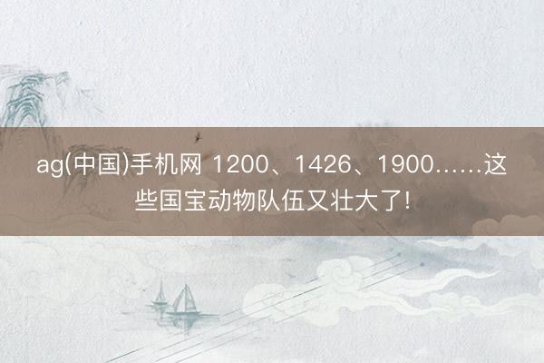 ag(中国)手机网 1200、1426、1900……这些国宝动物队伍又壮大了!