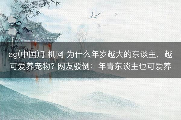 ag(中国)手机网 为什么年岁越大的东谈主,越可爱养宠物? 网友驳倒:年青东谈主也可爱养