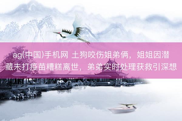 ag(中国)手机网 土狗咬伤姐弟俩，姐姐因潜藏未打疫苗糟糕离世，弟弟实时处理获救引深想