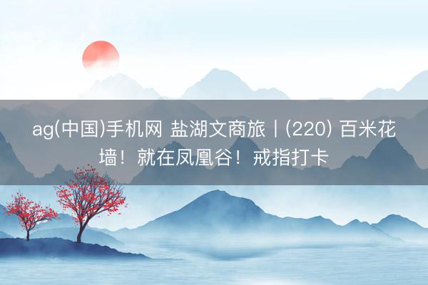 ag(中国)手机网 盐湖文商旅丨(220) 百米花墙!就在凤凰谷!戒指打卡