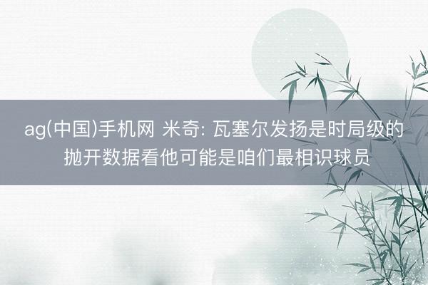 ag(中国)手机网 米奇: 瓦塞尔发扬是时局级的 抛开数据看他可能是咱们最相识球员