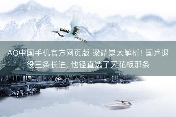AG中国手机官方网页版 梁靖崑太解析! 国乒退役三条长进, 