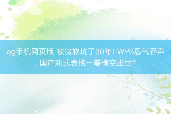 ag手机网页版 被微软坑了30年! WPS忍气吞声， 国产新式表格一霎横空出世?