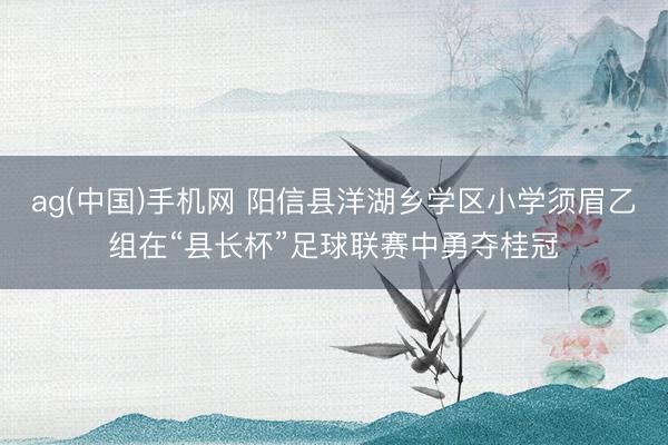 ag(中国)手机网 阳信县洋湖乡学区小学须眉乙组在“县长杯”足球联赛中勇夺桂冠