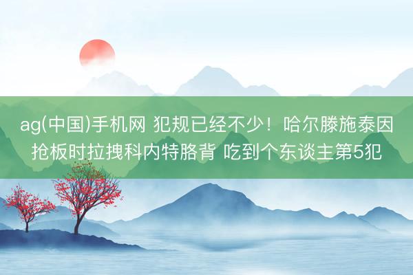 ag(中国)手机网 犯规已经不少！哈尔滕施泰因抢板时拉拽科内特胳背 吃到个东谈主第5犯