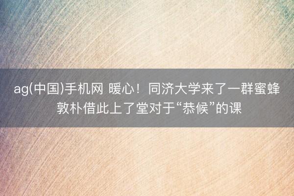 ag(中国)手机网 暖心!同济大学来了一群蜜蜂 敦朴借此上了堂对于“恭候”的课