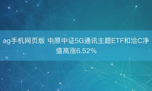 ag手机网页版 中原中证5G通讯主题ETF和洽C净值高涨6.52%