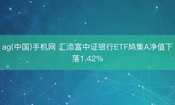 ag(中国)手机网 汇添富中证银行ETF鸠集A净值下落1.42%