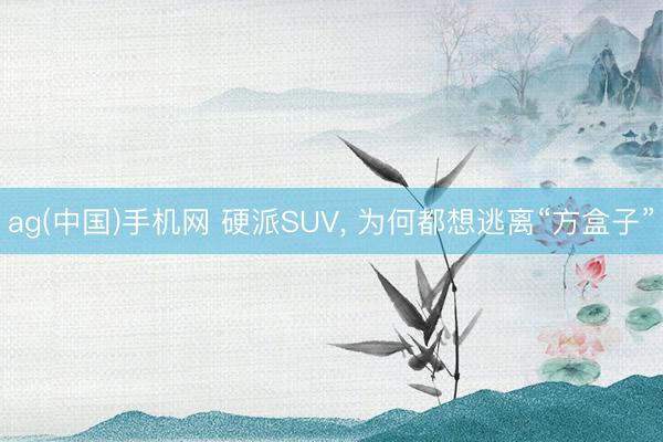 ag(中国)手机网 硬派SUV, 为何都想逃离“方盒子”