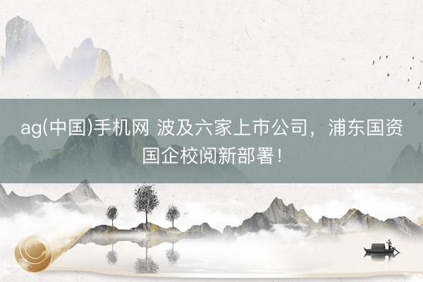ag(中国)手机网 波及六家上市公司,浦东国资国企校阅新部署!
